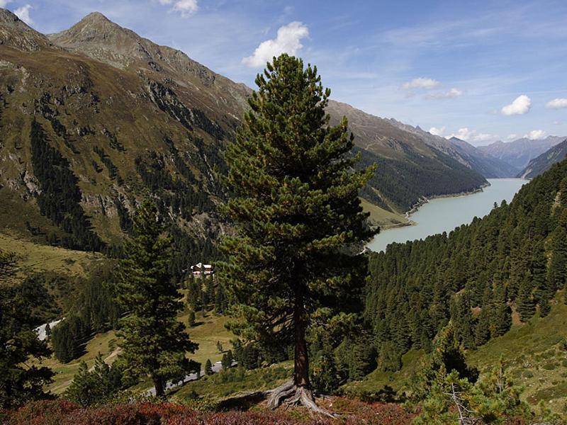 Plattnerhof Kaunertal Eksteriør bilde
