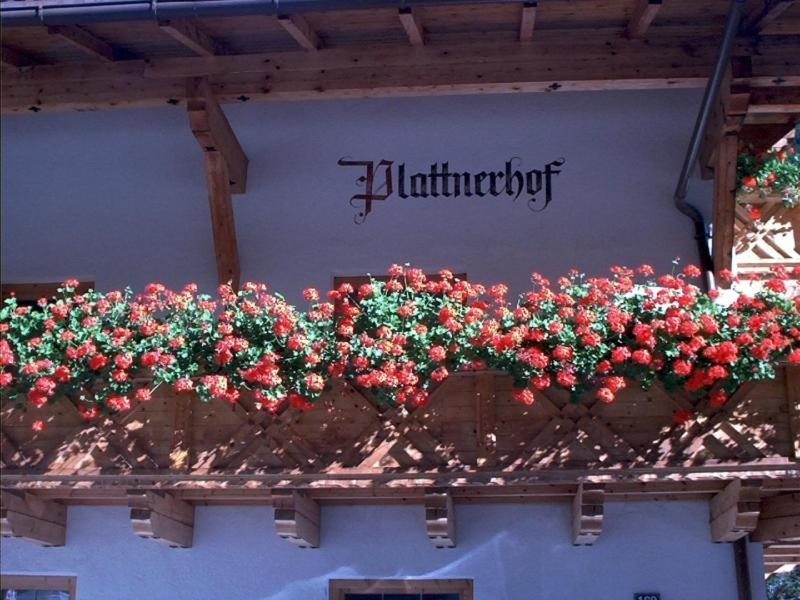 Plattnerhof Kaunertal Rom bilde